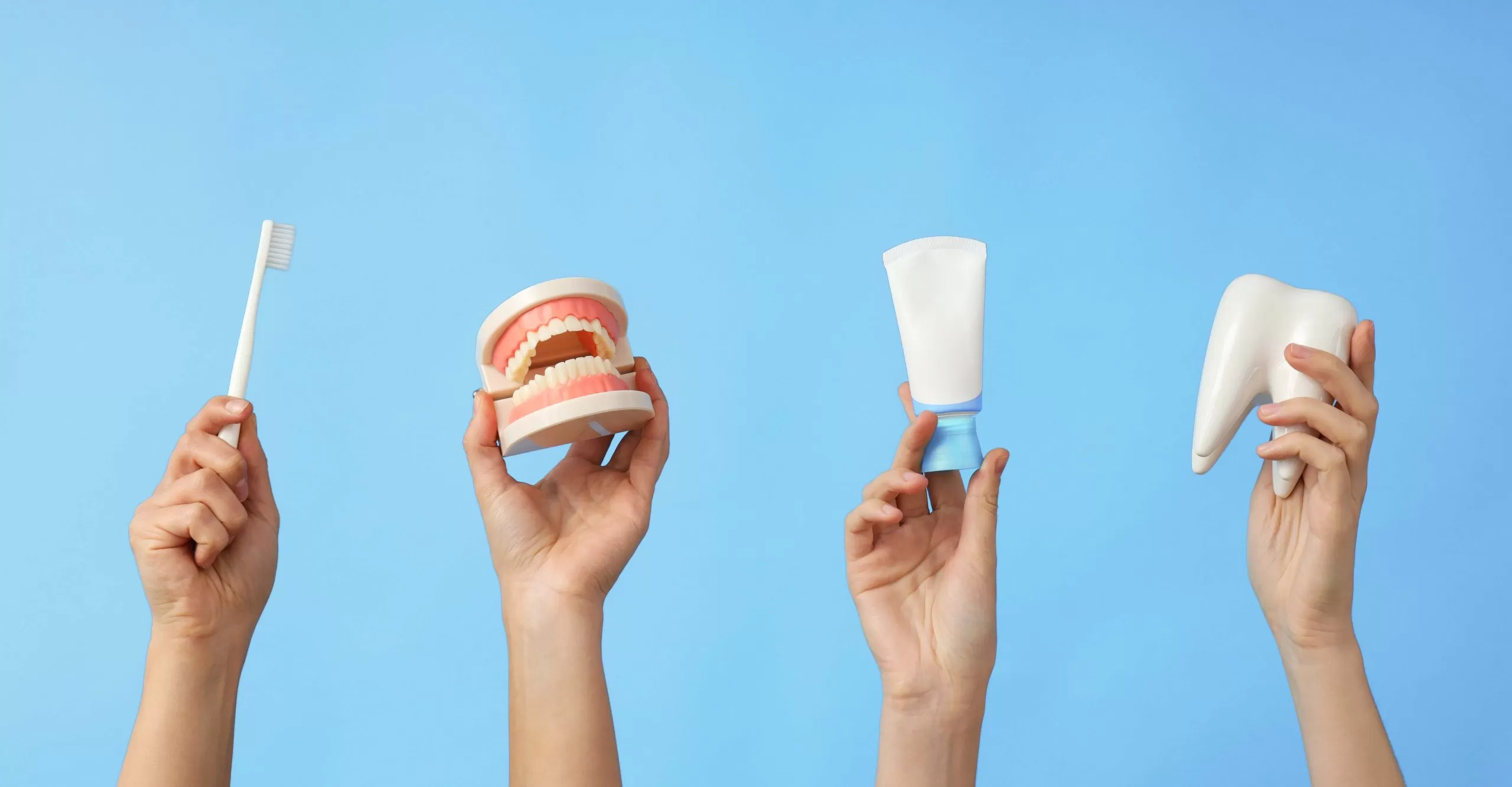 things-symbolizing-medicine-science-and-donation-2026-01-09-07-23-27-utc (1) editada